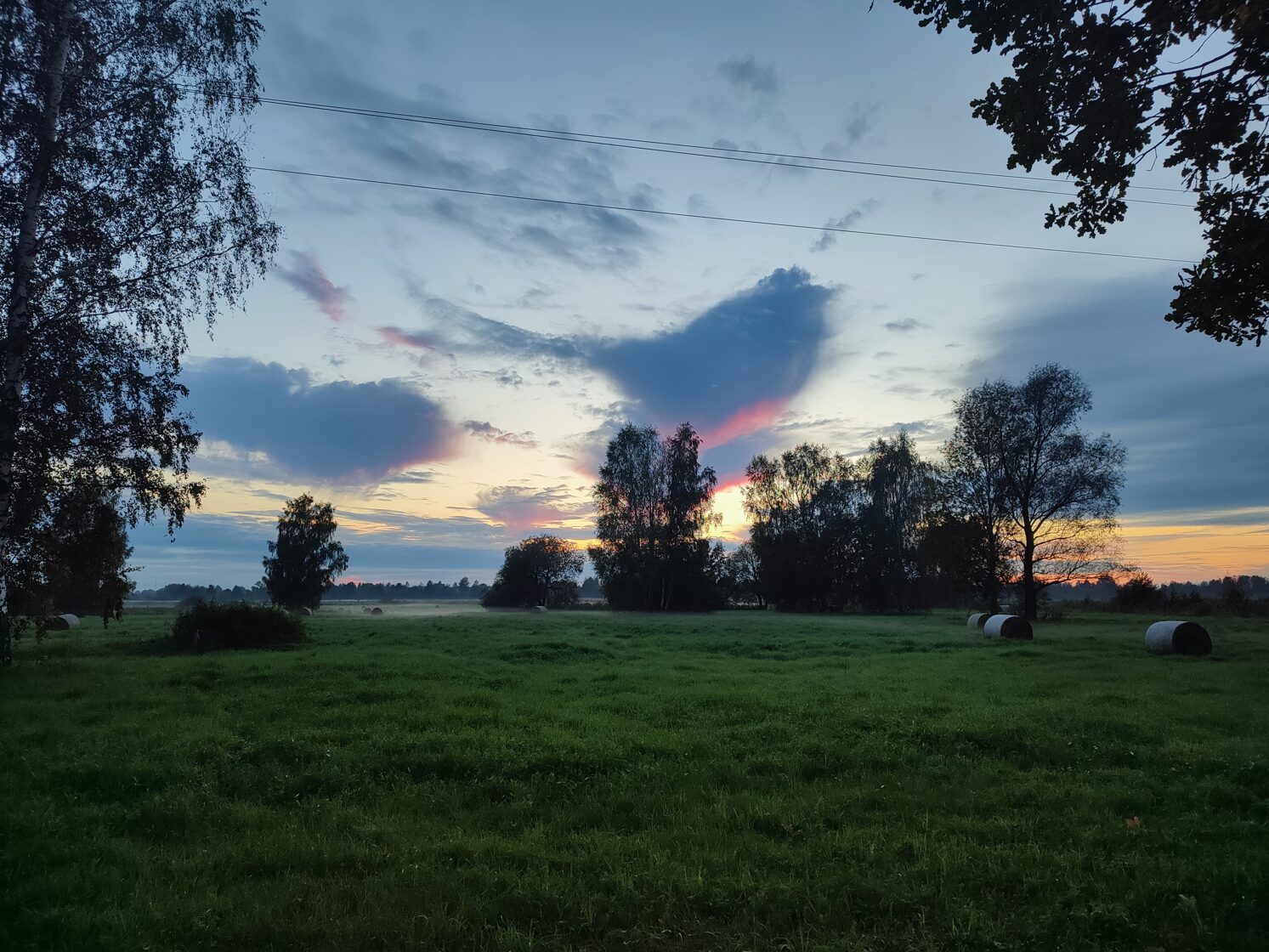 foto Ira Pilka