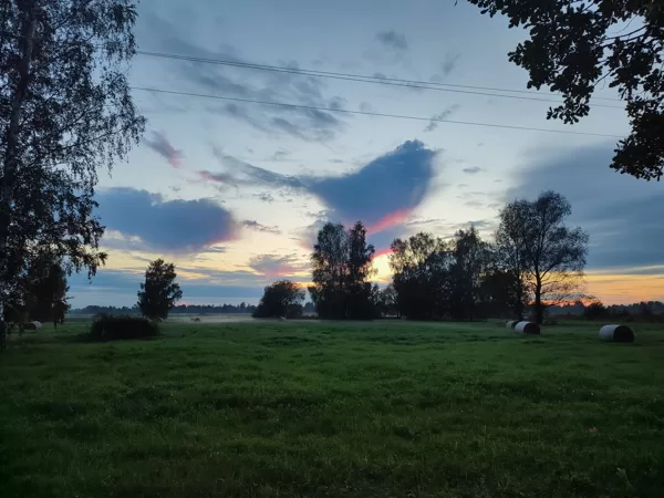 foto Ira Pilka