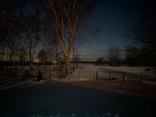 foto Ira Pilka